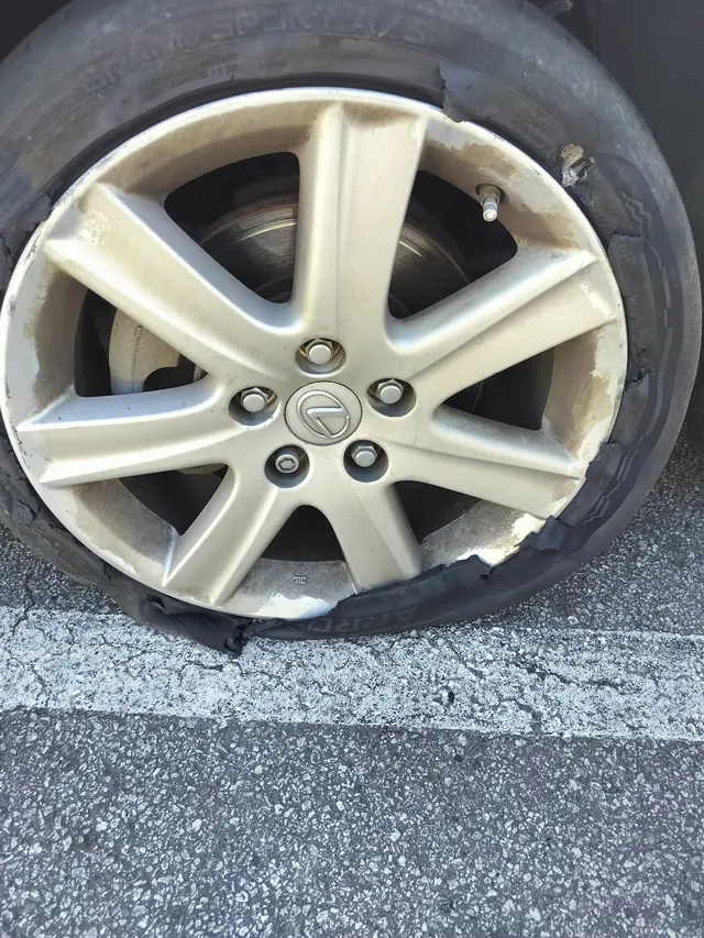 Customer photo from N's review