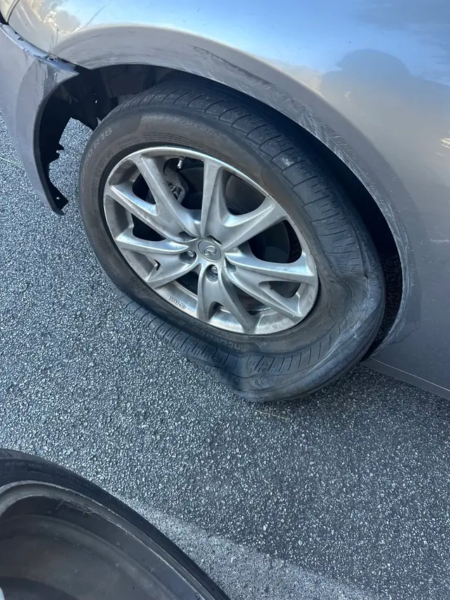 Customer photo from Duane's review