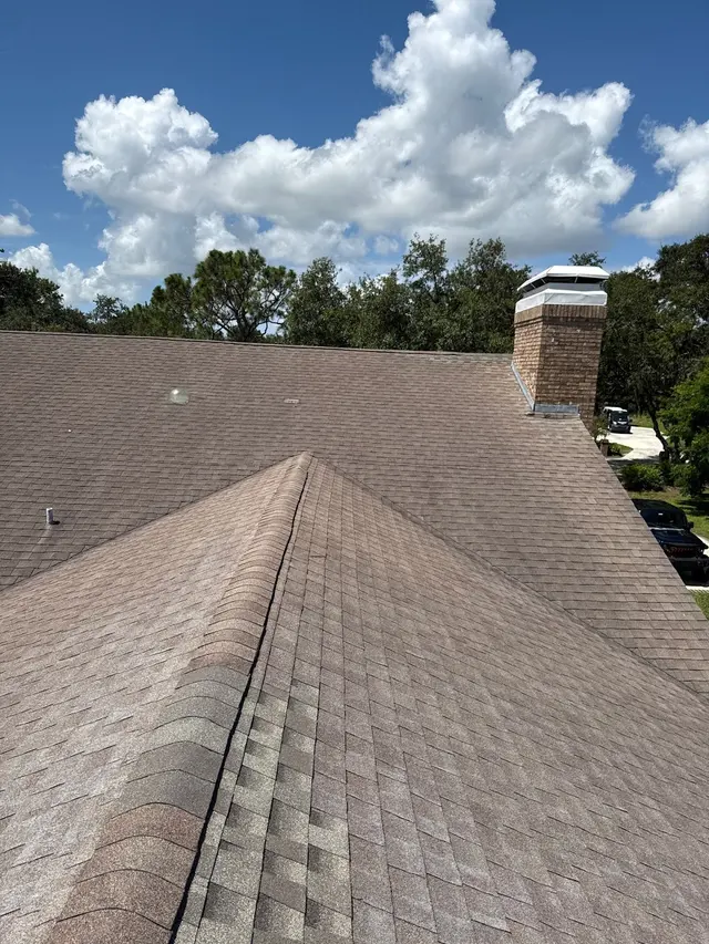 Roof X — photo from the business 4