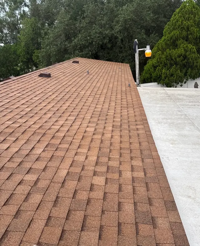 Customer photo from Kelly's review