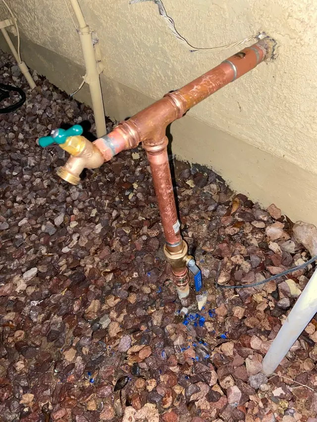 Customer photo from RD's review