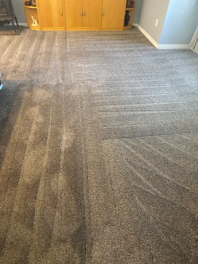 Steam Time Carpet Cleaning — customer photo 1