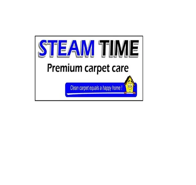 Steam Time Carpet Cleaning — photo from the business 11