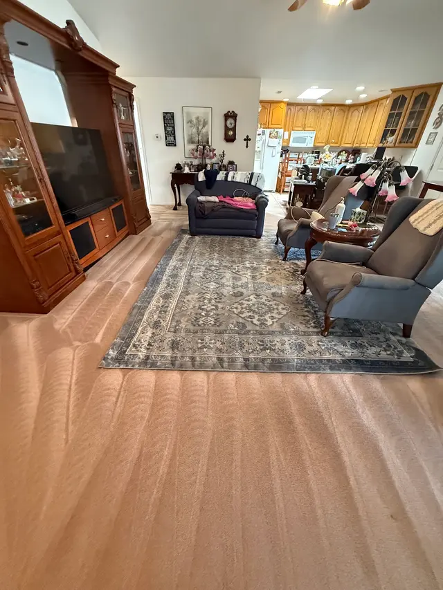 Steam Time Carpet Cleaning — customer photo 3