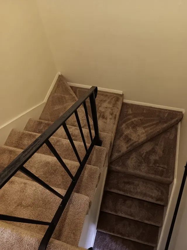 Steam Time Carpet Cleaning — customer photo 8