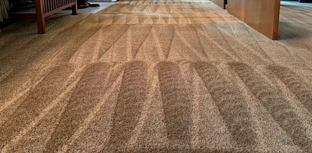 Steam Time Carpet Cleaning — customer photo 5