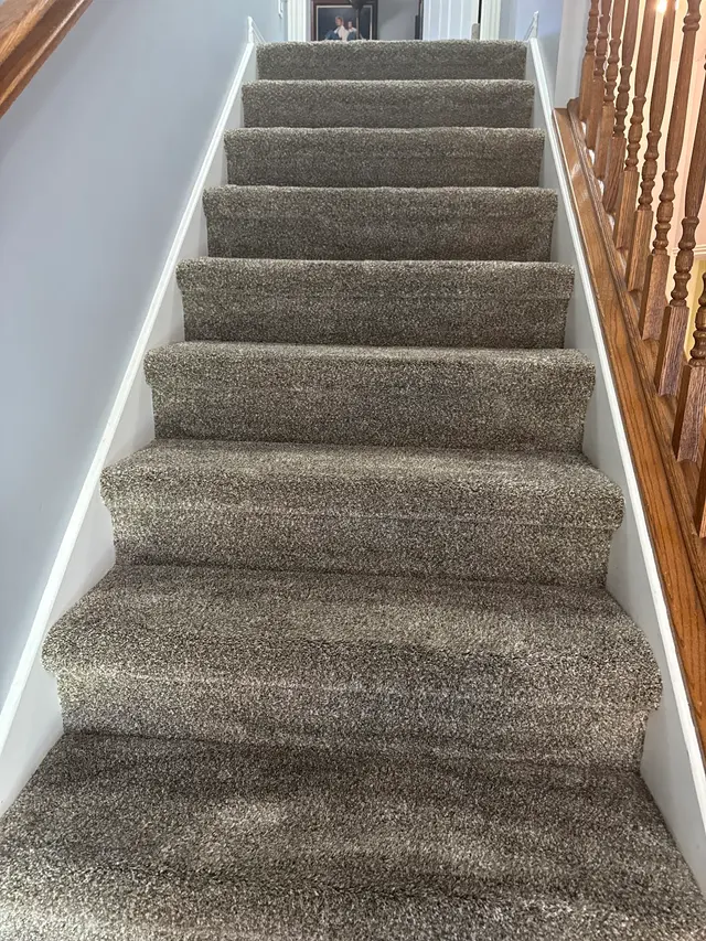 Steam Time Carpet Cleaning — customer photo 2