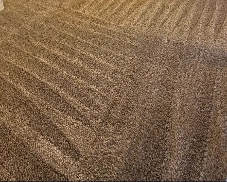 Steam Time Carpet Cleaning — customer photo 7