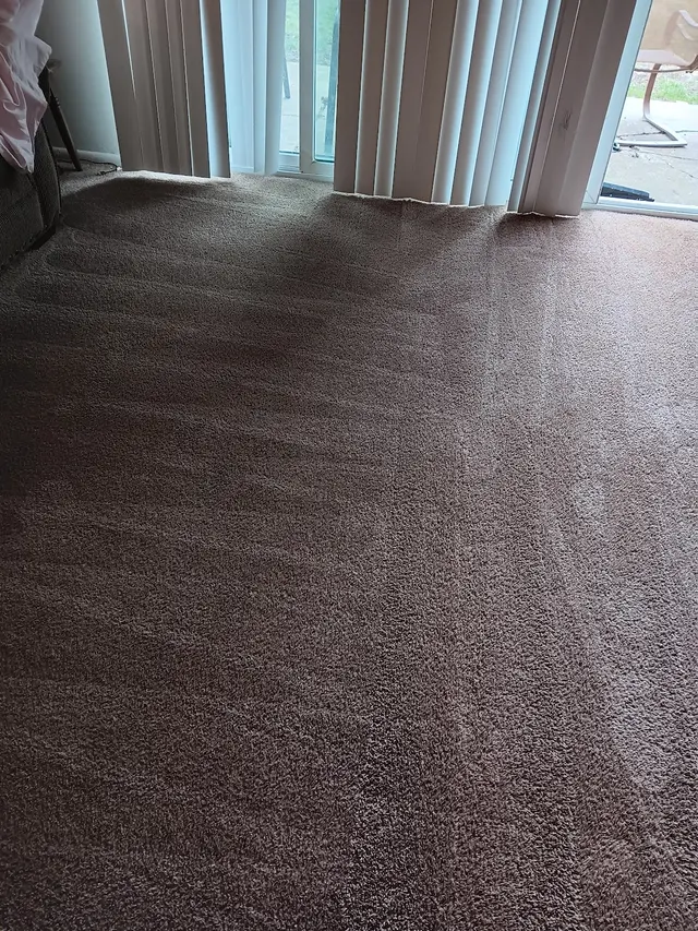 Steam Time Carpet Cleaning — customer photo 12