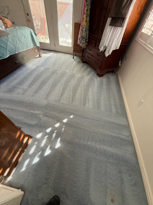 Steam Time Carpet Cleaning — customer photo 6