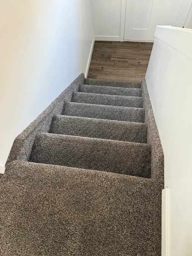 Thoro-Clene — customer photo 7