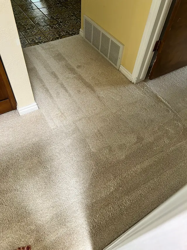 Thoro-Clene — customer photo 3