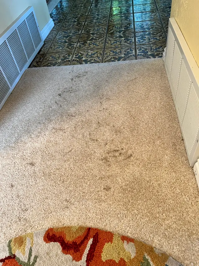 Thoro-Clene — customer photo 10