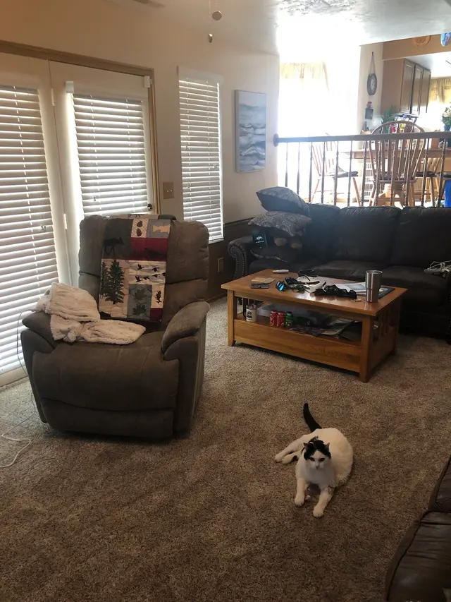 Thoro-Clene — customer photo 9