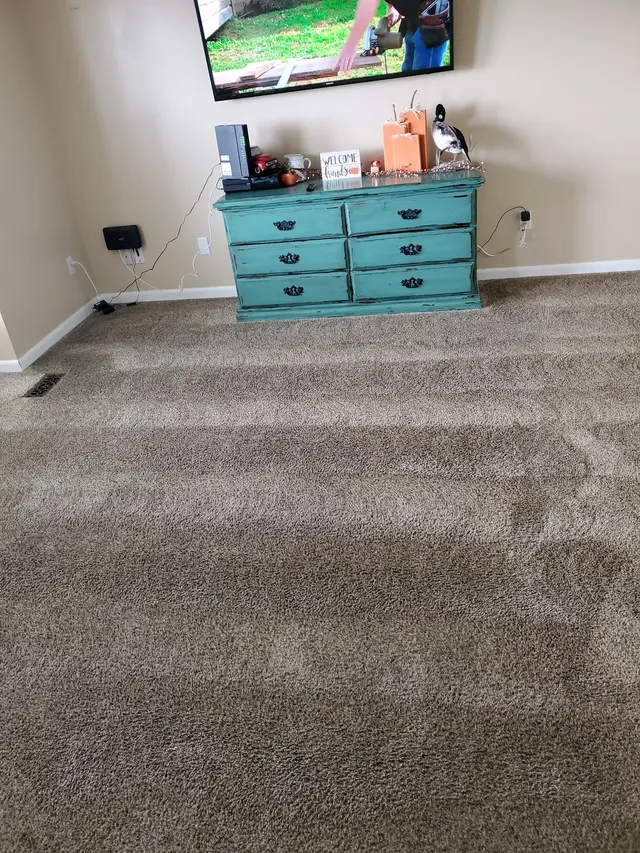 Larson's Chem-Dry Carpet, Upholstery and Tile Cleaning — customer photo 7