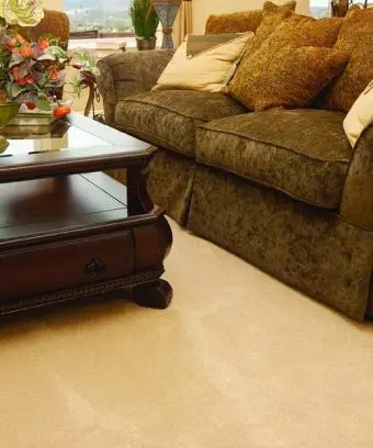 Larson's Chem-Dry Carpet, Upholstery and Tile Cleaning — photo from the business 3