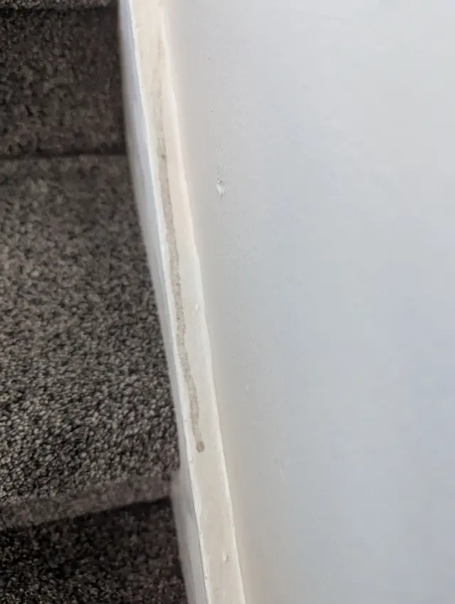 Customer photo of work by Essential Cleaning Services of Utah, L.L.C., from Nichole Stahle's review