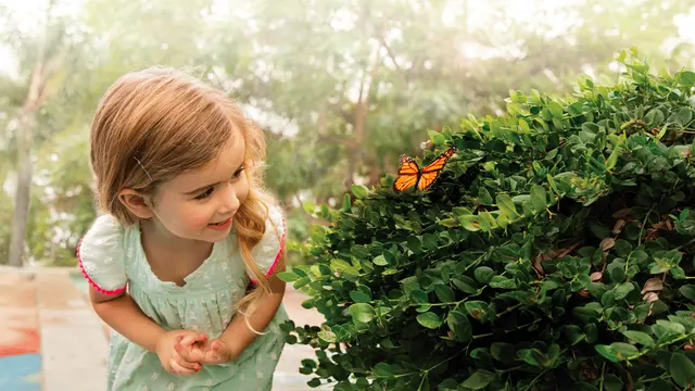 Primrose School of Eden Prairie — photo from the business 12