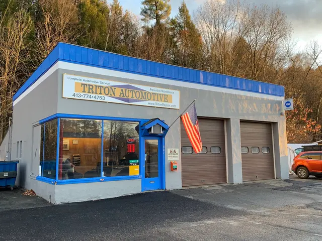 Triton Automotive — photo from the business 1
