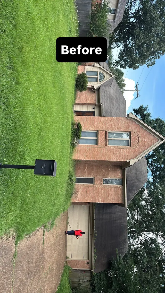Bush Masters LLC Memphis Lawncare — photo from the business 11