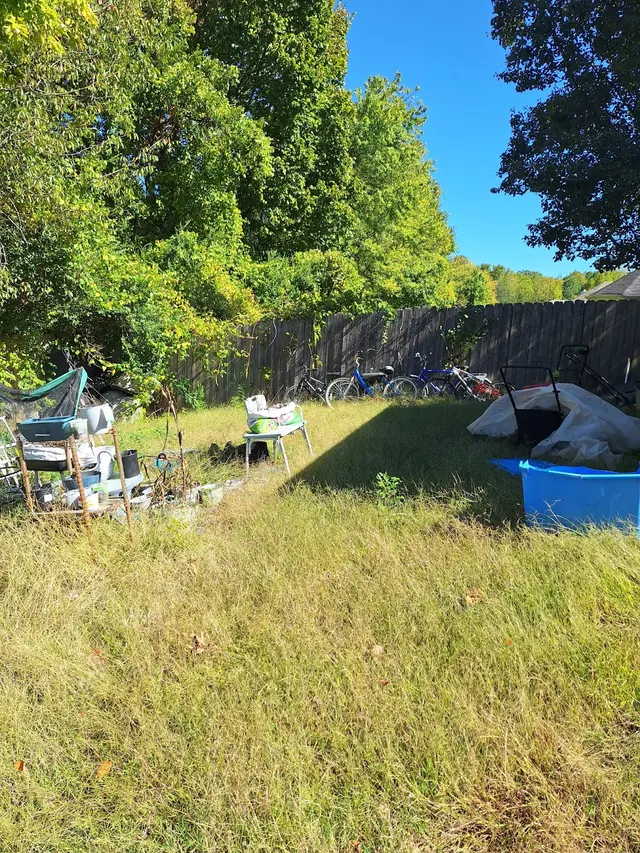 Bush Masters LLC Memphis Lawncare — customer photo 5