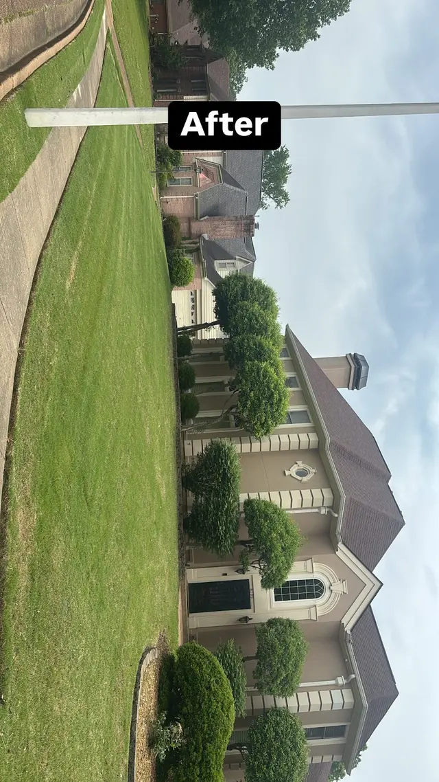 Bush Masters LLC Memphis Lawncare — photo from the business 7