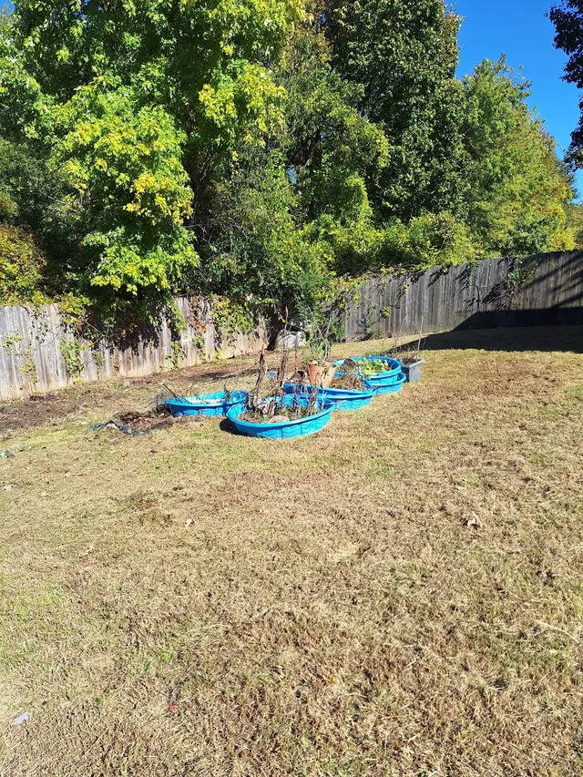 Bush Masters LLC Memphis Lawncare — customer photo 4