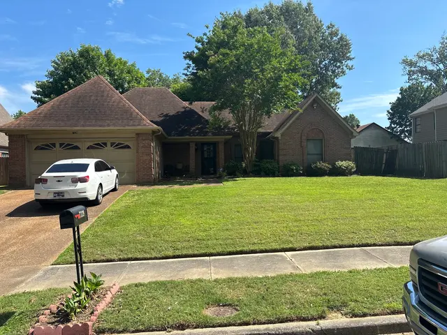 Bush Masters LLC Memphis Lawncare — photo from the business 2