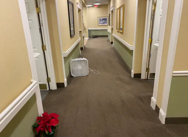 Complete Carpet Care — photo from the business 4
