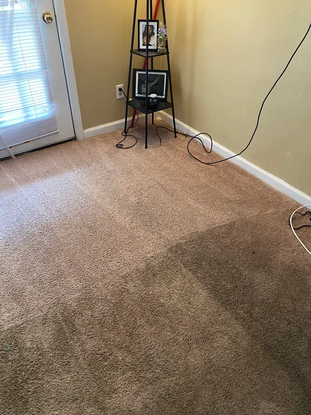 Complete Carpet Care — photo from the business 8