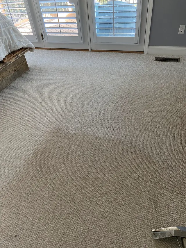 Complete Carpet Care — photo from the business 1
