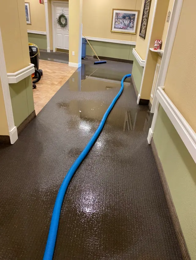 Complete Carpet Care — photo from the business 3