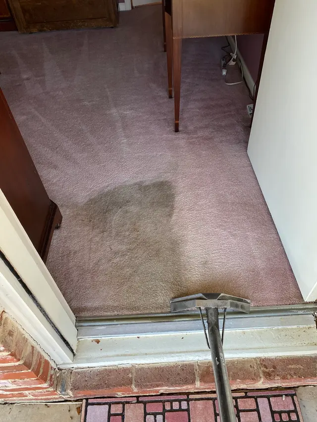 Complete Carpet Care — photo from the business 5