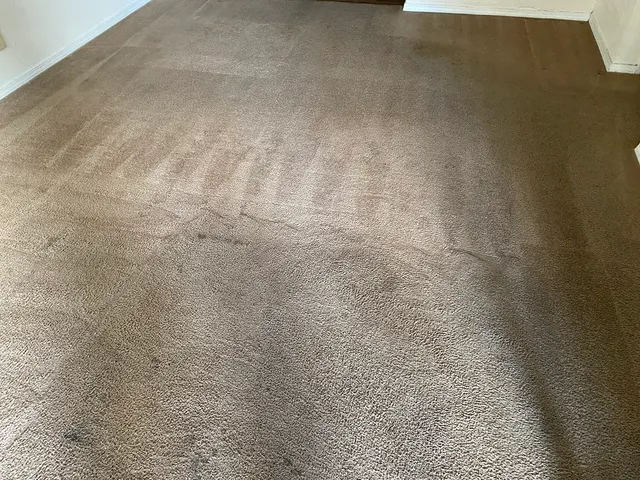 Complete Carpet Care — photo from the business 9