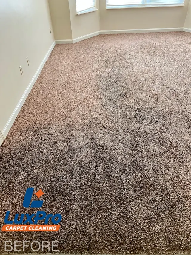 LuxPro Carpet Cleaning — photo from the business 10