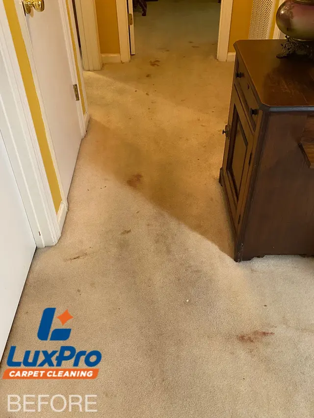LuxPro Carpet Cleaning — photo from the business 5