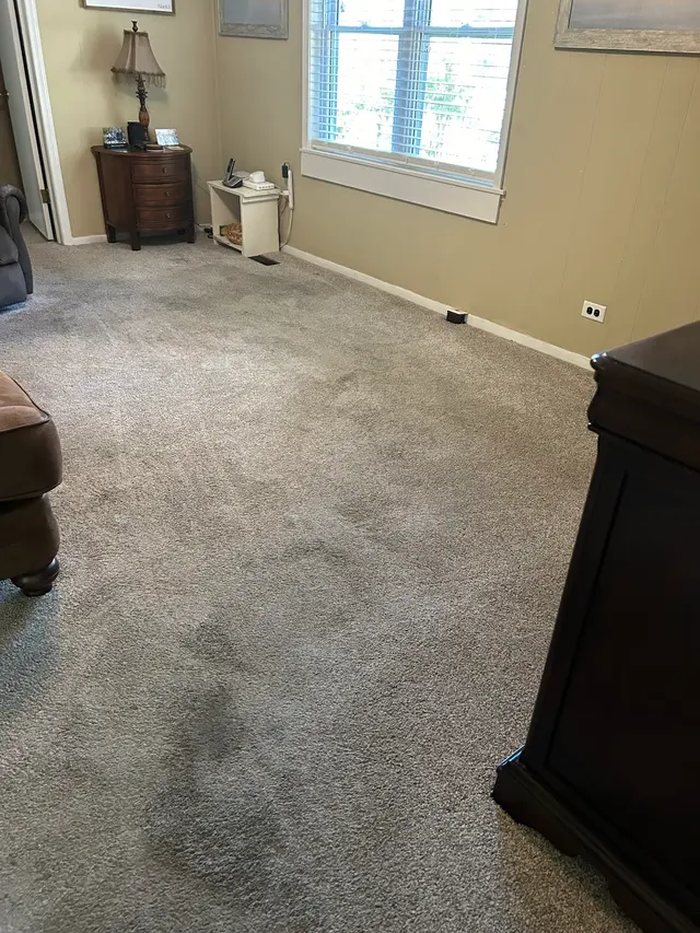 LuxPro Carpet Cleaning — customer photo 1