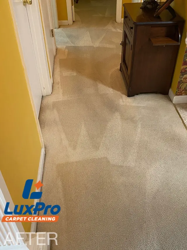 LuxPro Carpet Cleaning — photo from the business 11