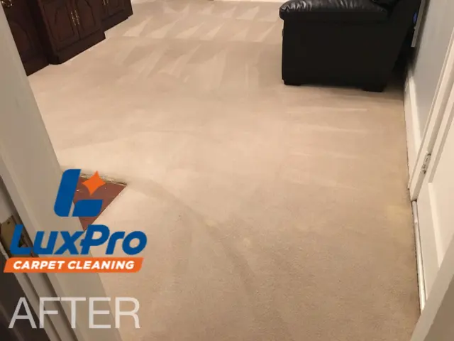 LuxPro Carpet Cleaning — photo from the business 4