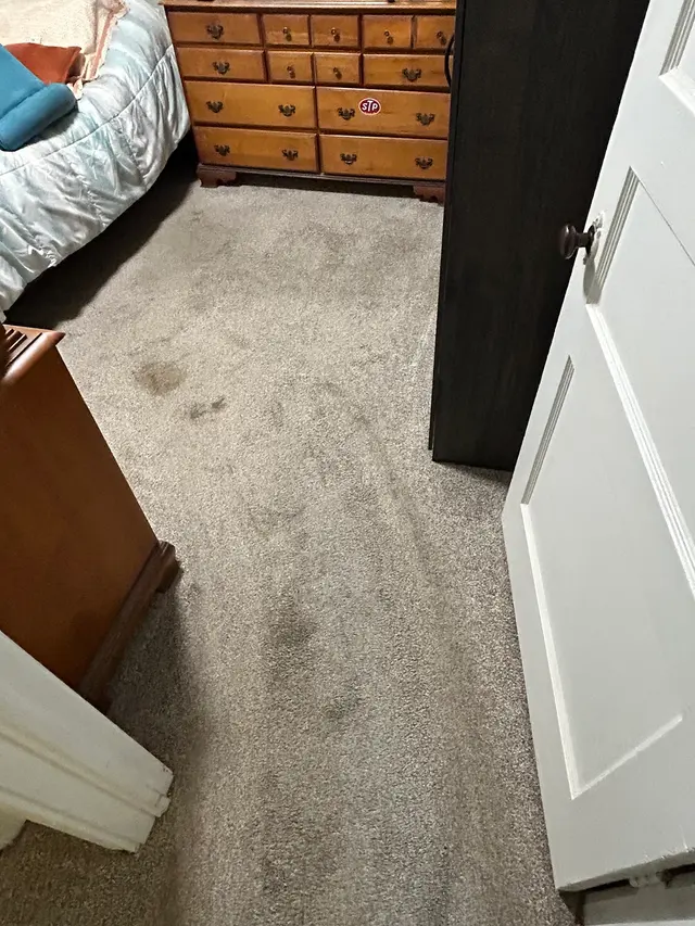 LuxPro Carpet Cleaning — customer photo 9
