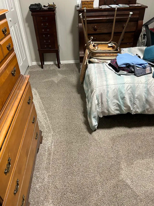 LuxPro Carpet Cleaning — customer photo 6