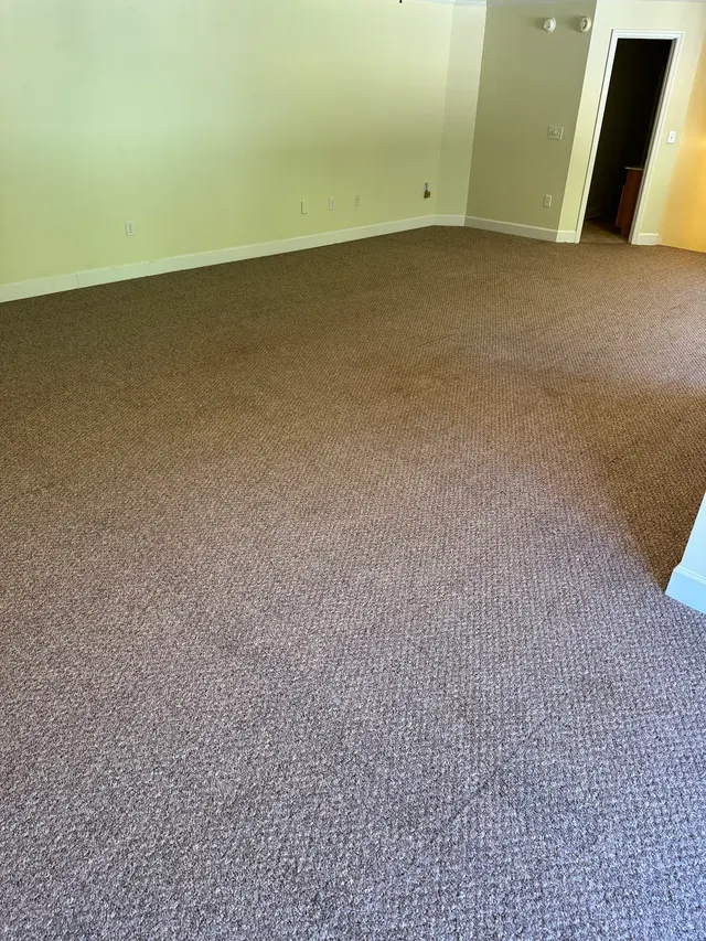 LuxPro Carpet Cleaning — customer photo 12