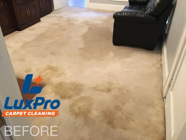 LuxPro Carpet Cleaning — photo from the business 7