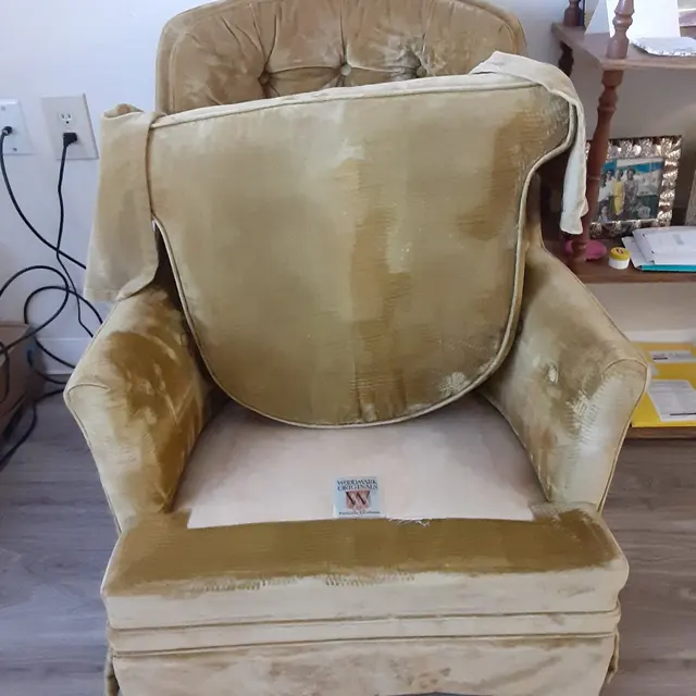Stanley Steemer — customer photo 12