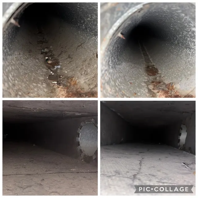 Stanley Steemer — customer photo 11