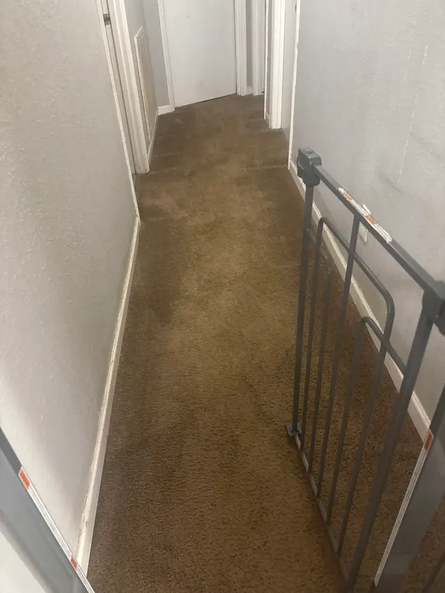 Stanley Steemer — customer photo 10