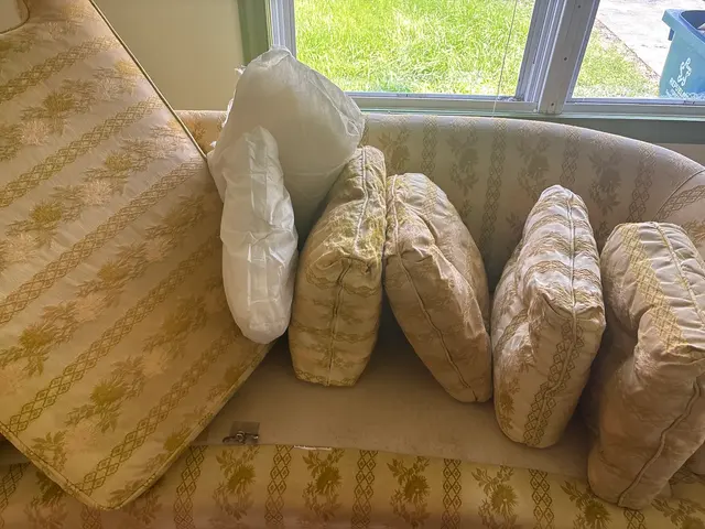 Stanley Steemer — customer photo 9