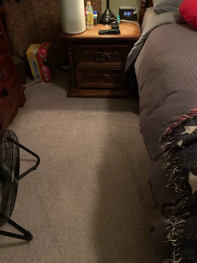 Customer photo from Pat's review