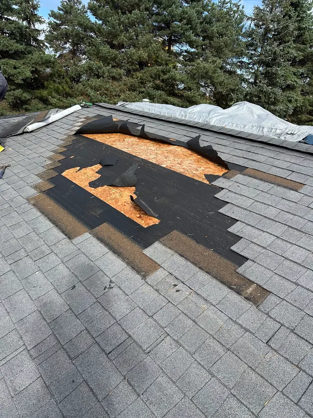 Tampa Roof Repair LLC — photo from the business 1