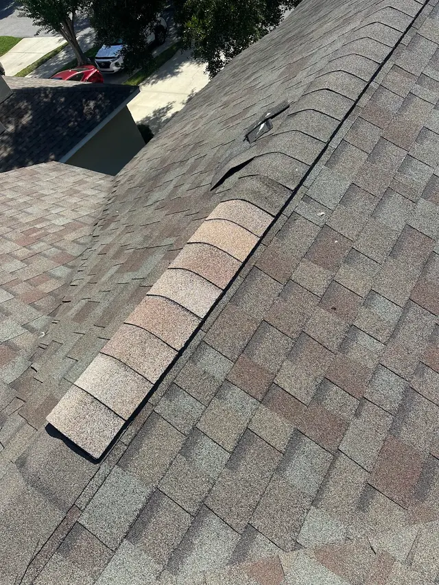 Customer photo from Luis's review